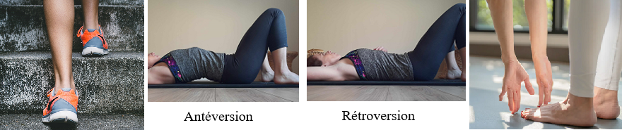 Blog santé sport bien-être