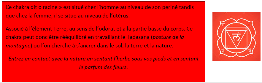 le rôle du chakra racine