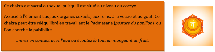 le rôle du chakra sexuel