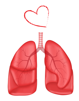 Quel est le principe de la cohérence cardiaque