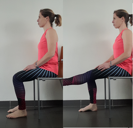 renforcement musculaire
