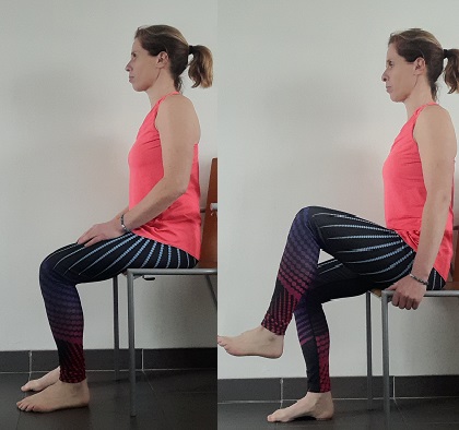 renforcement musculaire