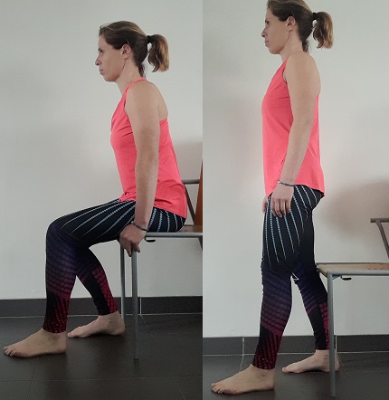 renforcement musculaire