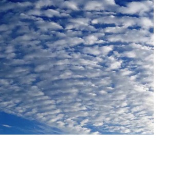 cirrus