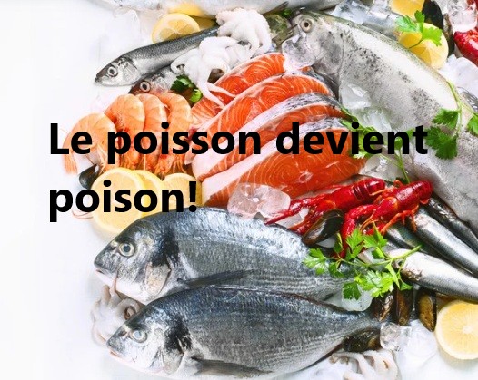 poisson devient poison