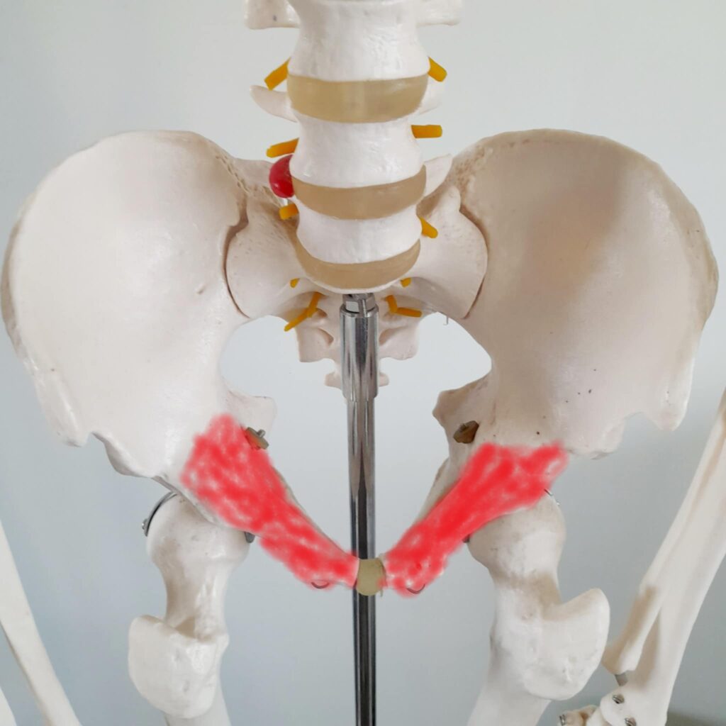 comment prévenir et soulager la pubalgie?