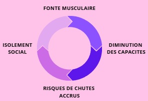 sarcopenie